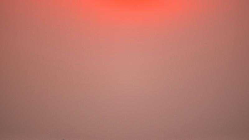A lone horse on an open plain at sunset.